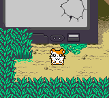 screenshots/Game Boy Color/Hamtaro - Ham-Hams Unite!/Hamtaro - Ham-Hams Unite! (Eng) 020.png
